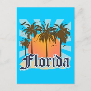 Cartão Postal Florida The Sunshine State USA