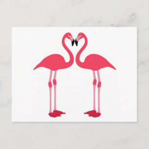 Cartão Postal Flóringo-aves-amor-coração-rosa