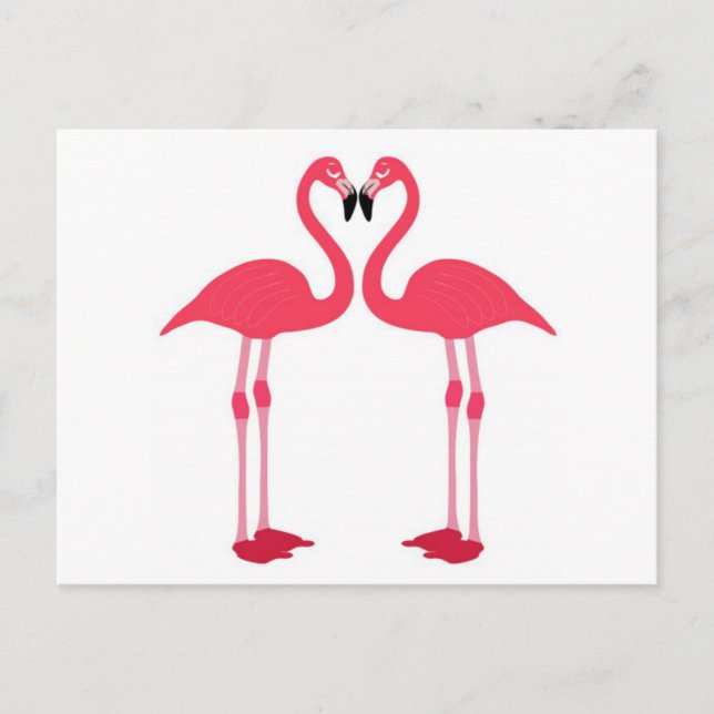 Cartão Postal Flóringo-aves-amor-coração-rosa (Frente)