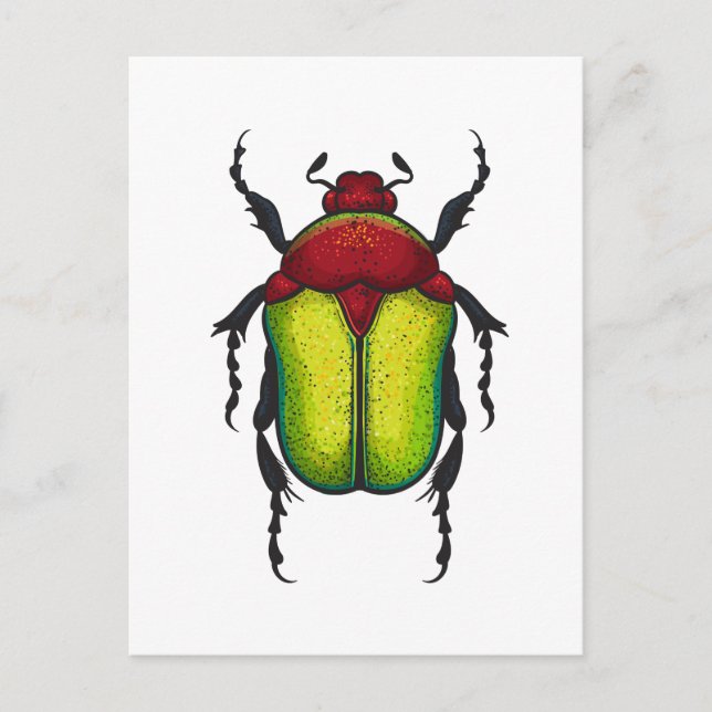 Cartão Postal Flower beetle (Frente)