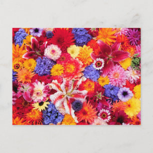 Cartão Postal Flower design of Dalhia, Oriental Lilies,