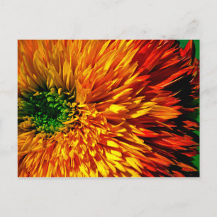 Cartão postal Flower Fireworks