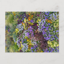Flower Power - 1