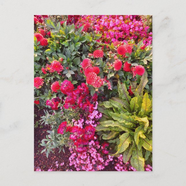 Cartão Postal Flower Power - 14 (Frente)