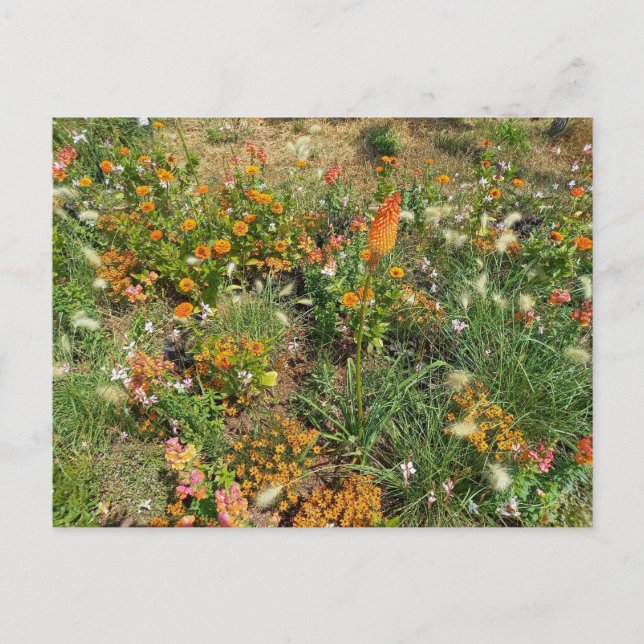 Cartão Postal Flower Power - 2 (Frente)