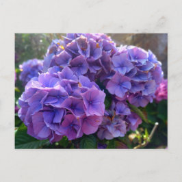 Cartão Postal Flower Power 4