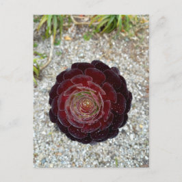 Cartão Postal Flower Power - 7