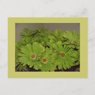 Cartão Postal Flower power verde