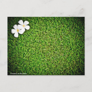 Cartão Postal Flowers on the lawn