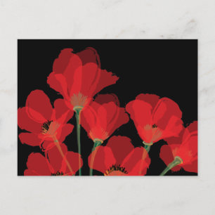 Cartão Postal Fluers de Pavot Rouge sur Noir