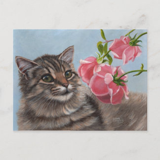 Cartão postal Fluffy Cat e 3 Rosas Rosa