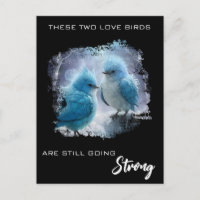 *~* Fluffy FOTO Pássaros de Amor AP54 Aniversário