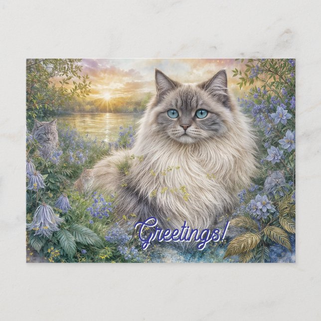 Cartão Postal Fluffy Himalayan Cat In Purple Garden at Sunrise (Frente)
