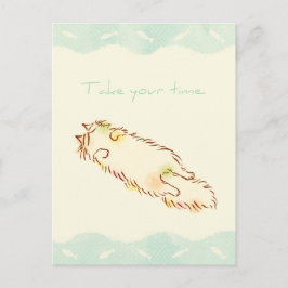 Cartão Postal Fluffy Sleepy Cat Aproveite seu tempo