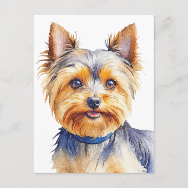 Cartão Postal Fluffy Yorkshire Terrier Soft e Gentle Dog Art (Frente)