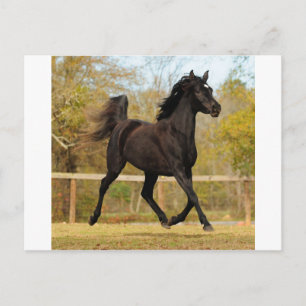 Cartão Postal Flutuando no ar