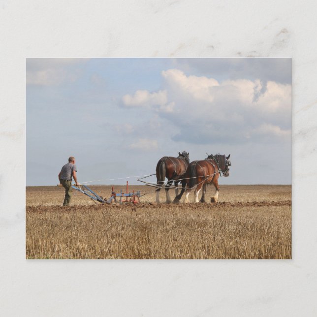 Cartão Postal Fluxo de cavalos: Excelente Dorset Steam Fair (Frente)