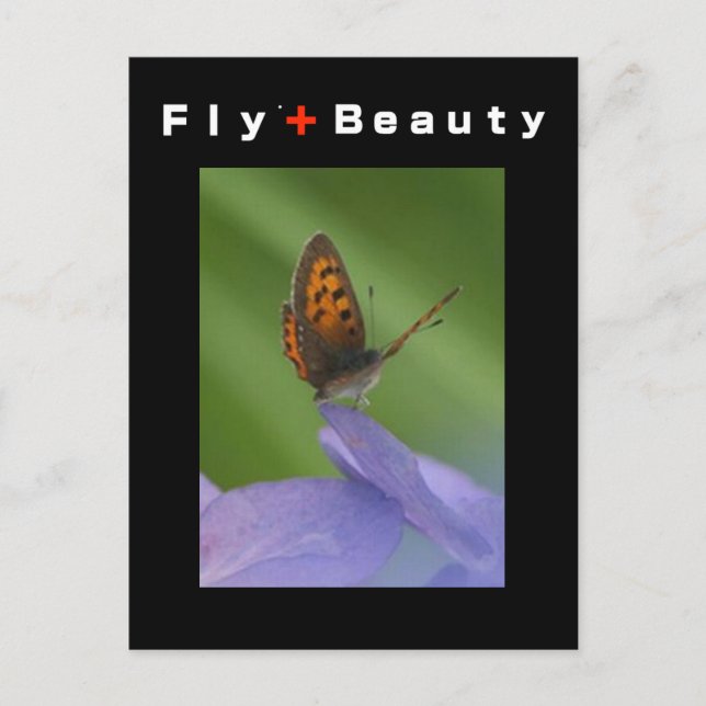 Cartão Postal FLY + Beleza (Frente)