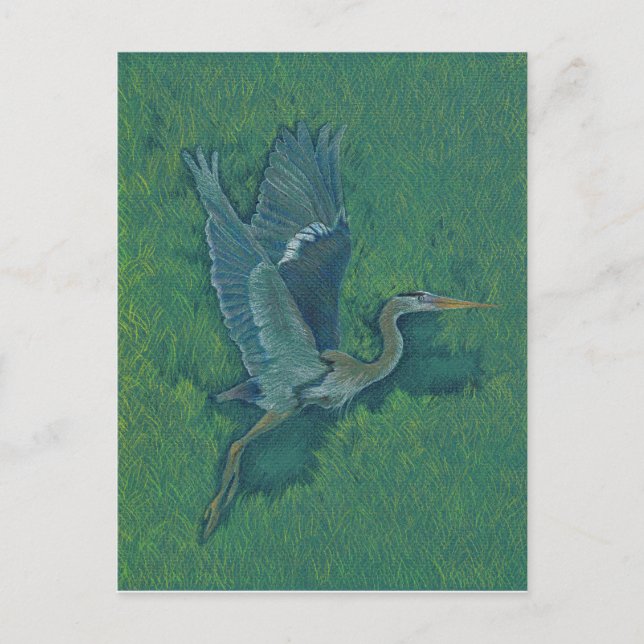 Cartão Postal Flying Heron (Frente)