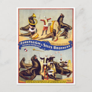 Cartão Postal Focas de Circo Maravilhosamente Treinadas, 1899