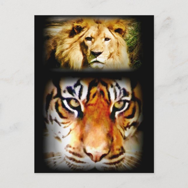 Cartão Postal Foco e coragem_ (Frente)