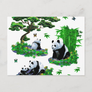 Cartão Postal fofo Panda Cartoon