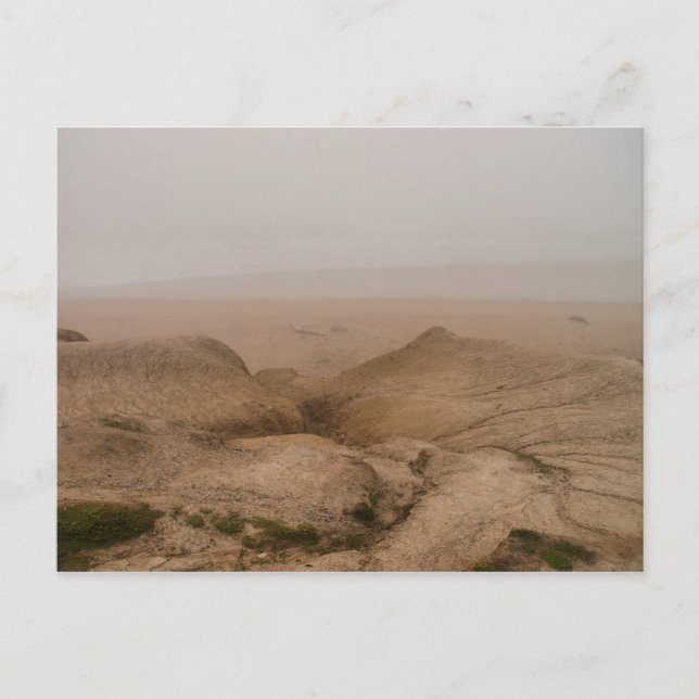 Cartão Postal Foggy Beach (Frente)