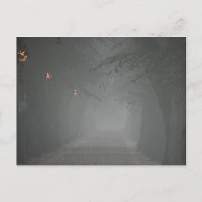 Cartão Postal Foggy Morning (Frente)