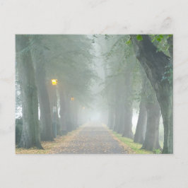 Cartão Postal Foggy Morning