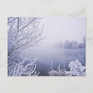Cartão Postal Foggy Winter Day by the River