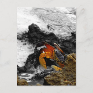 Cartão Postal Fogo no mar