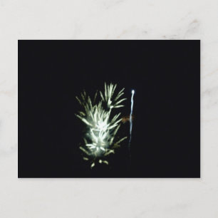 Cartão Postal Fogos de artifício! design de 4 de julho
