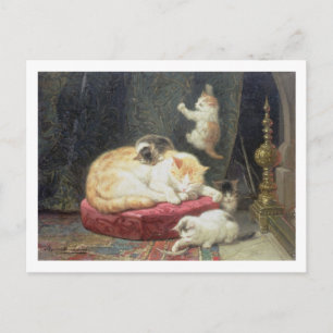 Cartão Postal Fogos (óleo no painel)