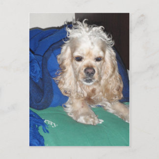 Cartão Postal Foi uma noite de duro