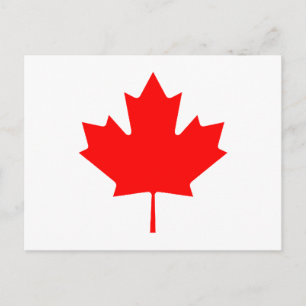 Cartão Postal Folha de bordo RedTransp os presentes de Zazzle do