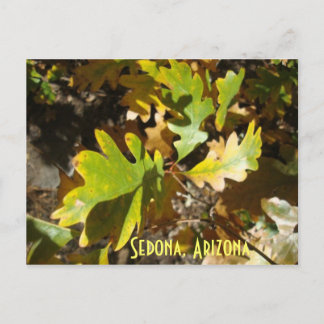 Cartão Postal folha de carvalho, Sedona, Arizona