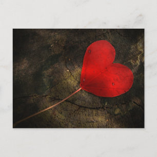 Cartão Postal Folha de coração