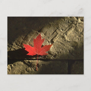 Cartão Postal Folha de Mapeamento do Canadá
