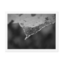 Cartão Postal - Folha teia (nº1)