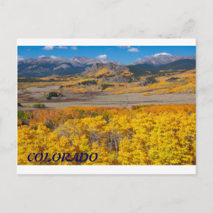Cartão Postal Folhagem Cênica do Colorado