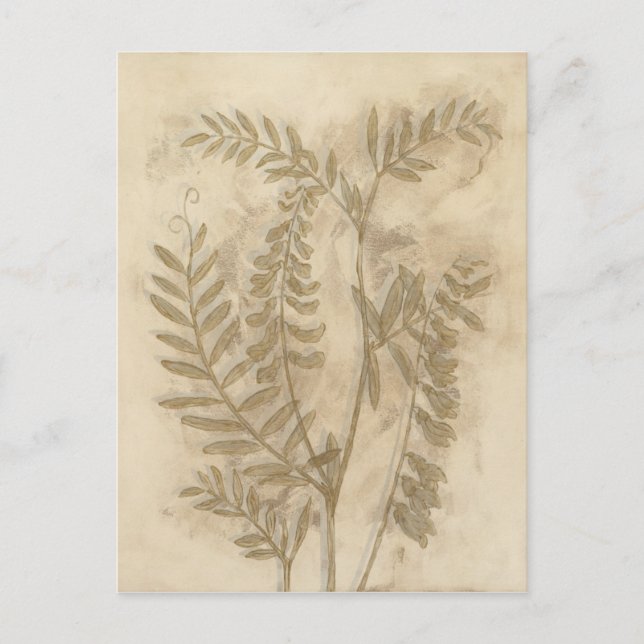 Cartão Postal Folhagem Gilded I (Frente)