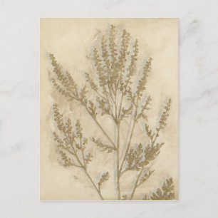 Cartão Postal Folhagem II