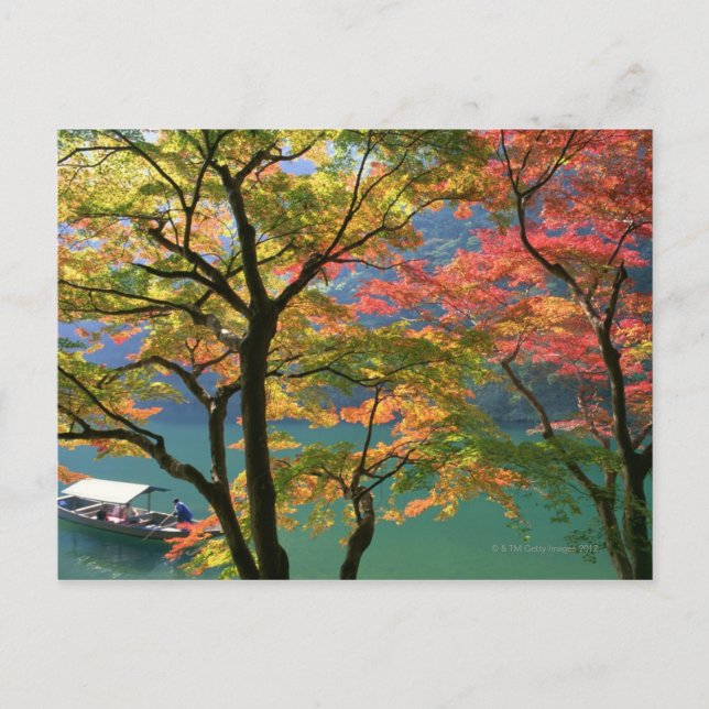Cartão Postal Folhas Coloridas (Frente)