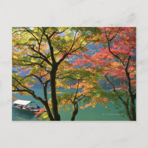 Cartão Postal Folhas Coloridas