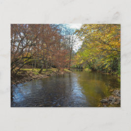 Cartão Postal Folhas Coloridas Caem Reflexões no Fluxo de outono