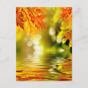 Cartão Postal Folhas coloridas do outono que refletem na água 2