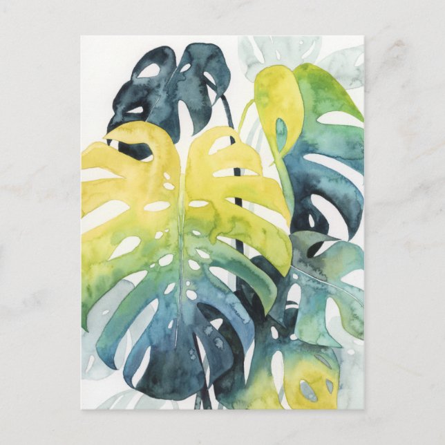 Cartão Postal Folhas de Árvore de Palm Sunset com Aquarela (Frente)