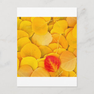 Cartão Postal Folhas de Aspen de Outono Sierra Oriental Califórn