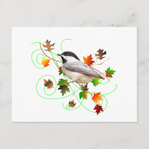 Cartão Postal Folhas de Chickadee Cair