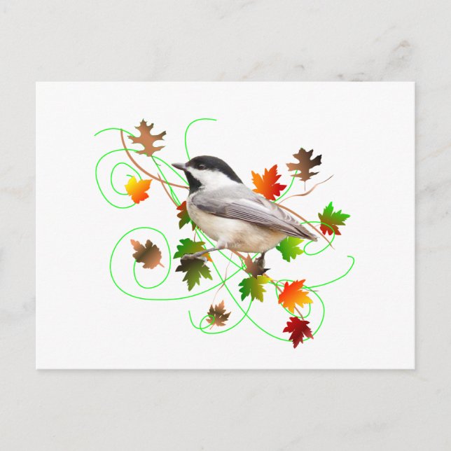 Cartão Postal Folhas de Chickadee Cair (Frente)